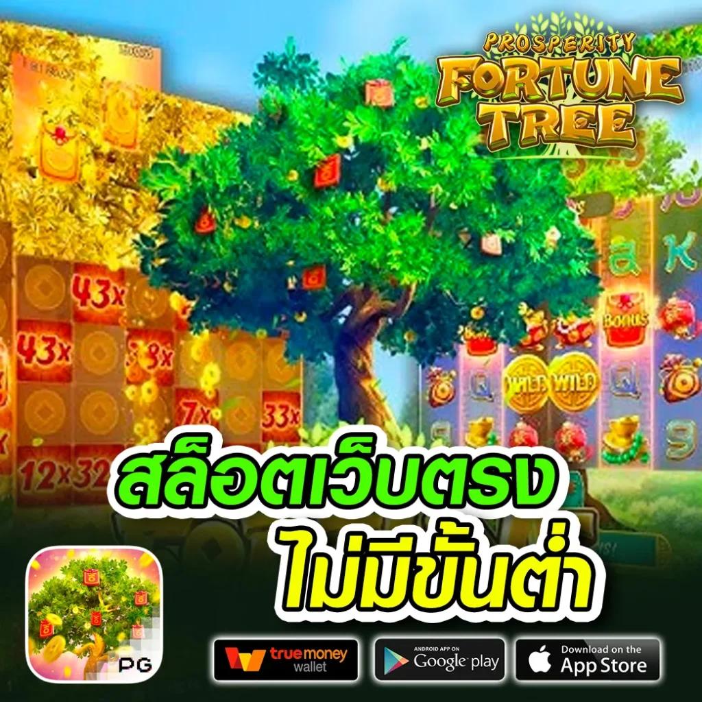 kingthai168 เว็บตรง สล็อต ฝากถอนออโต้ ไม่ผ่านเอเย่นต์ 2026